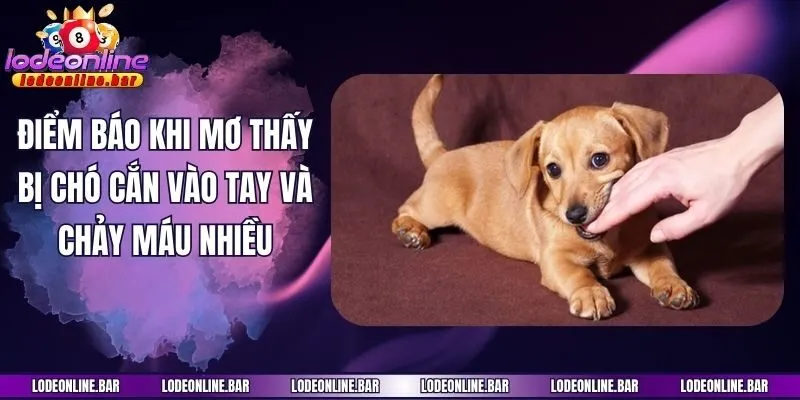 Điểm báo khi mơ thấy bị chó cắn vào tay và chảy máu nhiều