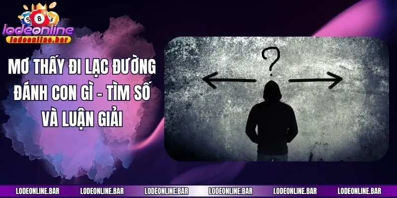 Mơ Thấy Đi Lạc Đường Đánh Con Gì - Tìm Số Và Luận Giải