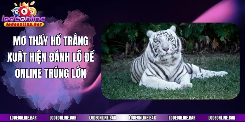Mơ Thấy Hổ Trắng Xuất Hiện Đánh Lô Đề Online Trúng Lớn