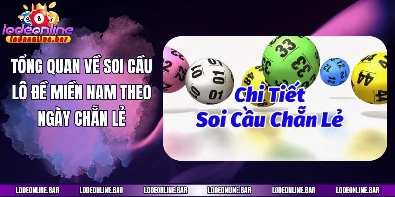 Tổng quan về soi cầu lô đề miền Nam theo ngày chẵn lẻ